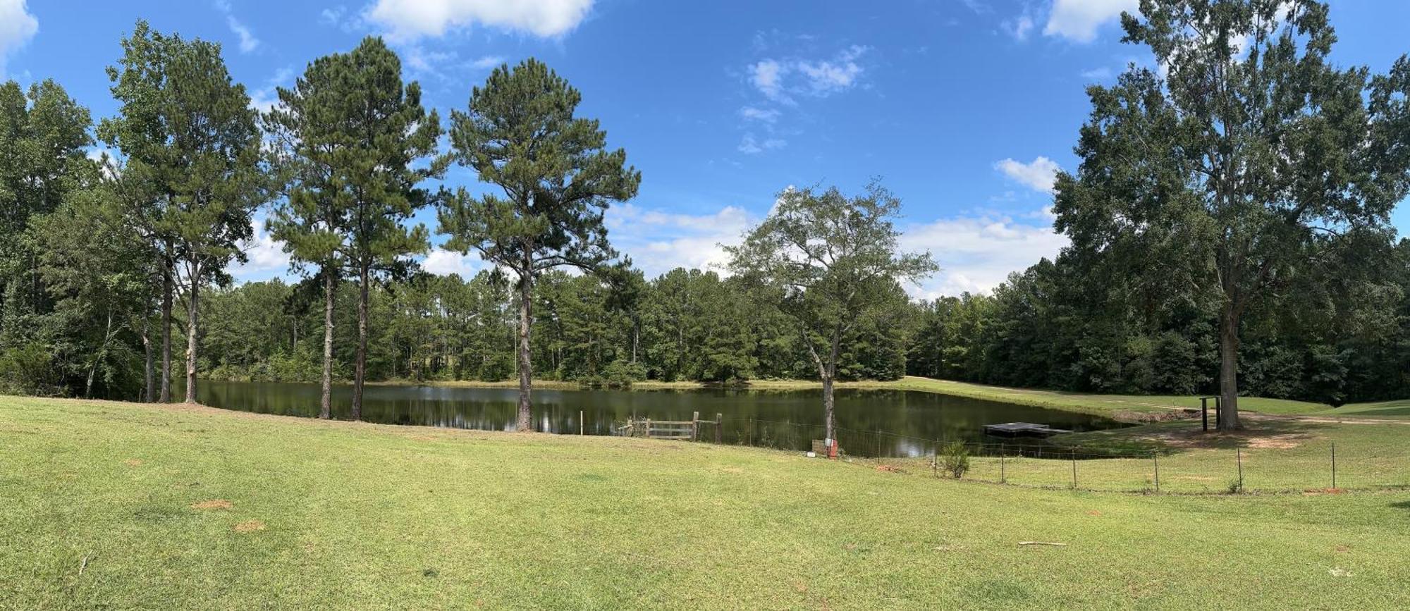 Refuge Ranch Retreat Log Cabin Lake 53+ Acres 洛克斯特格罗夫 外观 照片