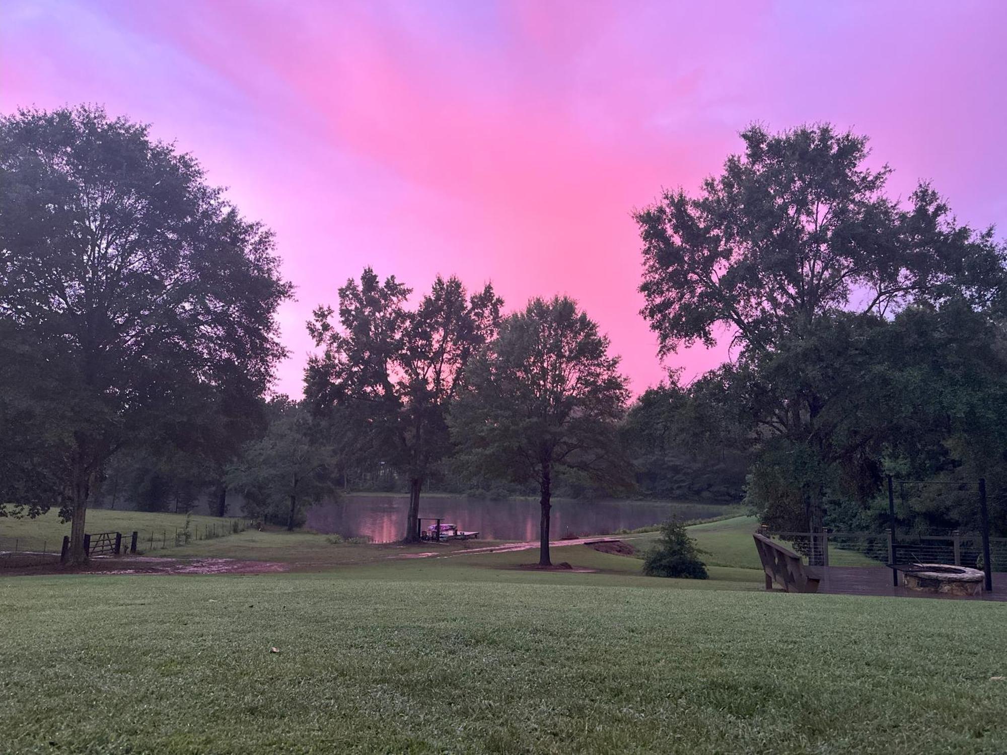 Refuge Ranch Retreat Log Cabin Lake 53+ Acres 洛克斯特格罗夫 外观 照片