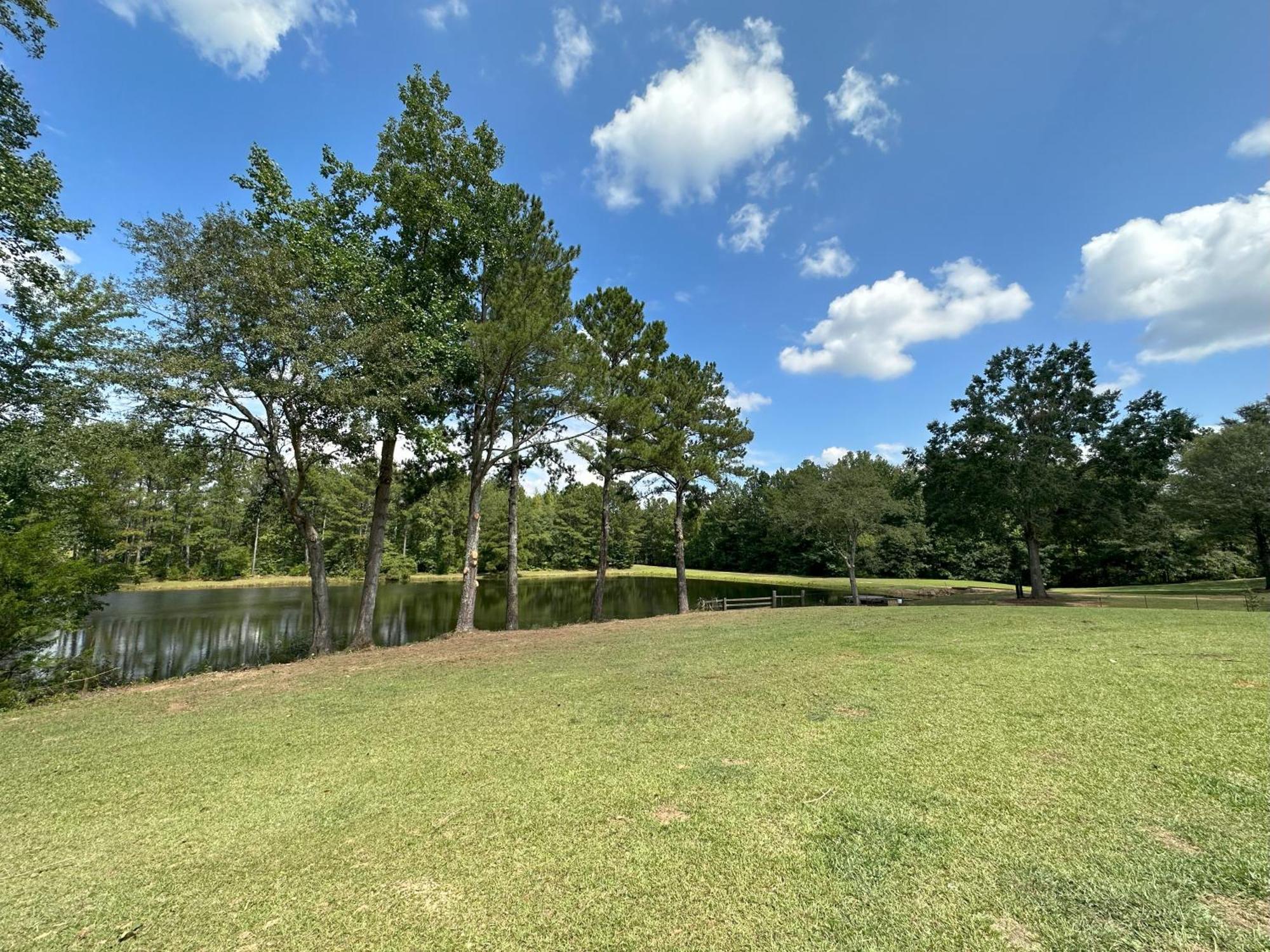 Refuge Ranch Retreat Log Cabin Lake 53+ Acres 洛克斯特格罗夫 外观 照片