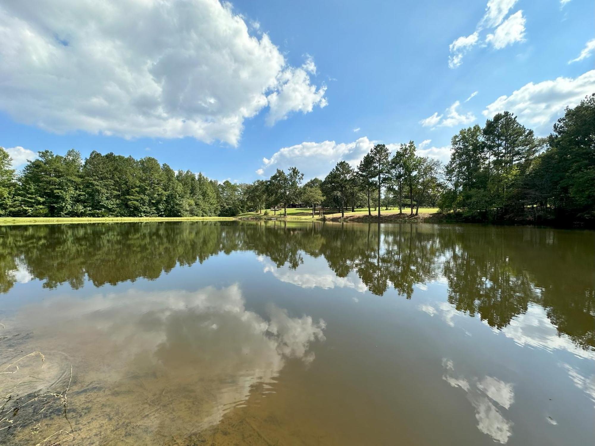 Refuge Ranch Retreat Log Cabin Lake 53+ Acres 洛克斯特格罗夫 外观 照片